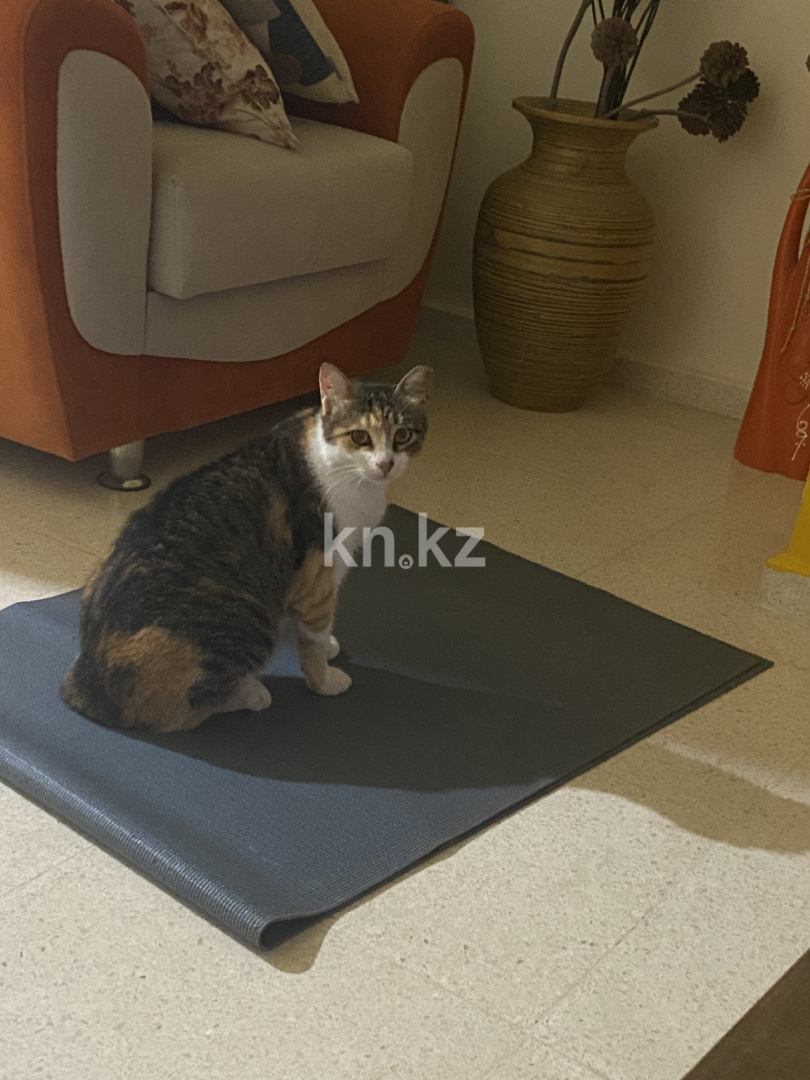 Продажа 4-комнатного дома, 120 м², Гулдер, дом  9 - ул. Айманова в Алматы - фото 22