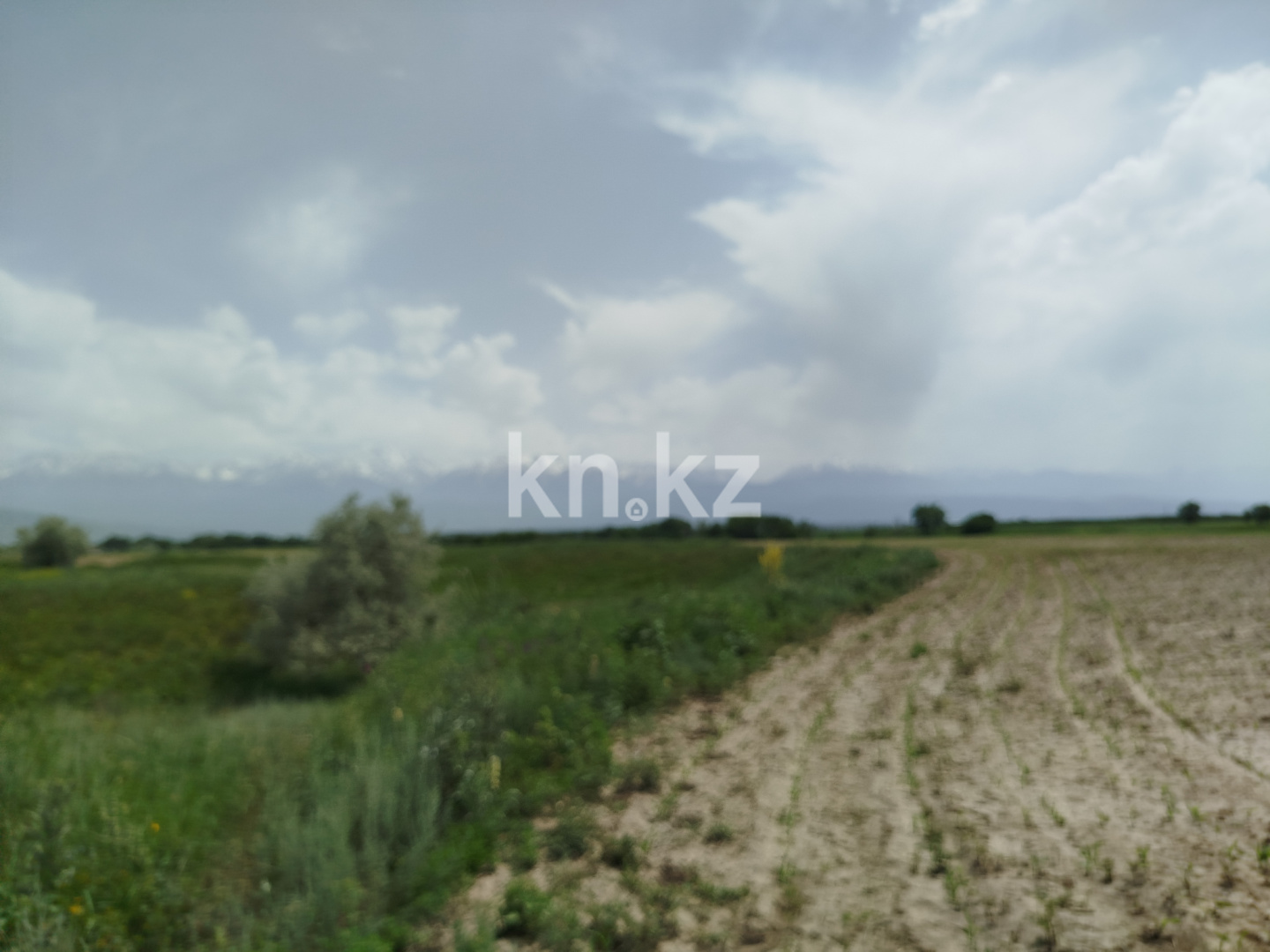 Продажа участка, 10 га в Алматинской области - фото 5