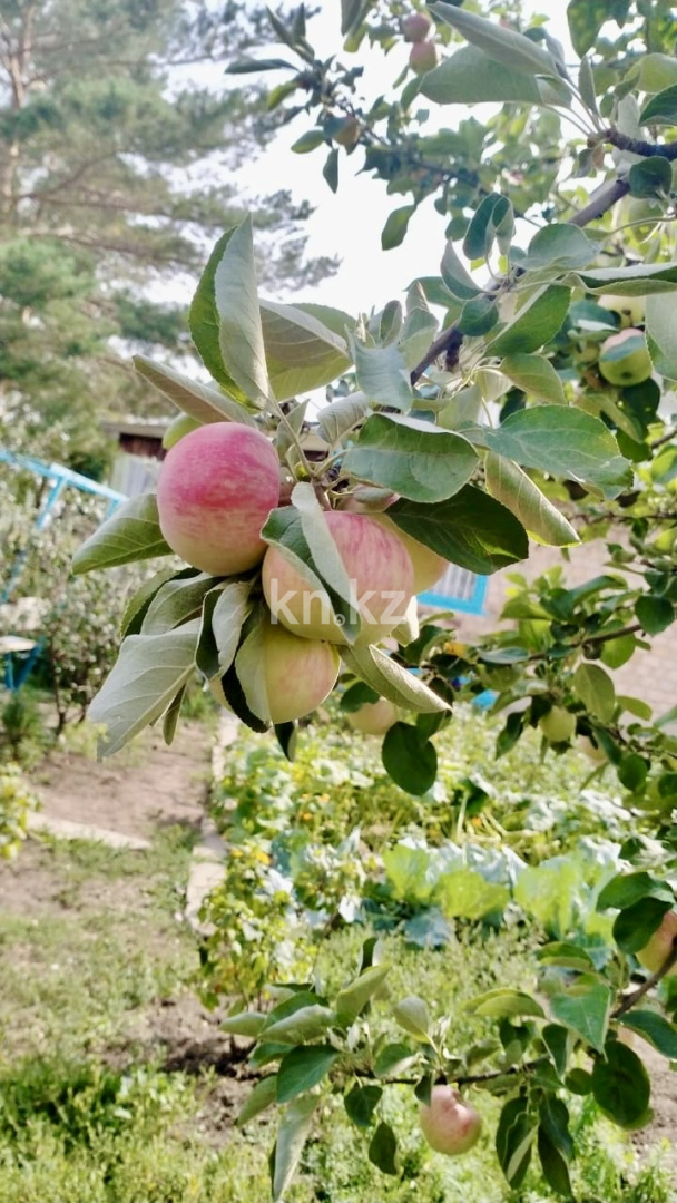 Продажа дачи, 12 сот., Елочка в Караганде - фото 31