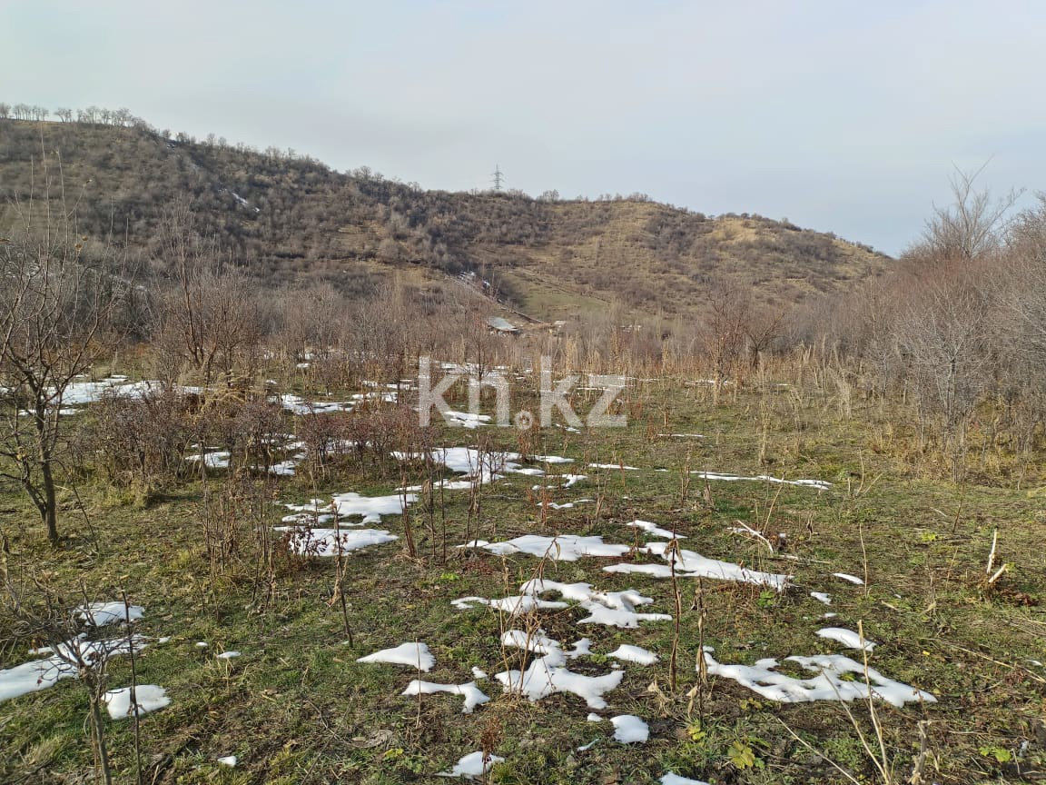 Продажа участка, 6000 м² в Алматы - фото 2