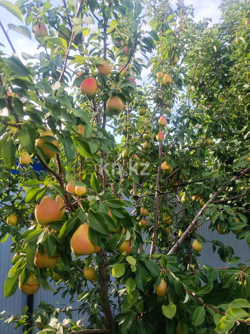 Продажа 5-комнатного дома, 260 м², Назерке, дом  24/1 в Уральске - фото 10