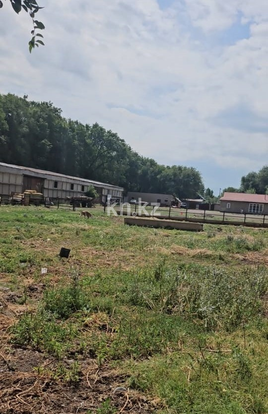 Продажа бизнеса, 220 м² в Алматинской области - фото 2