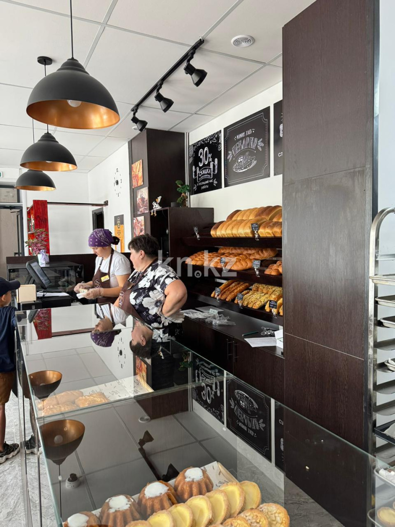 Продажа бизнеса, 111.1 м² в Акмолинской области - фото 3