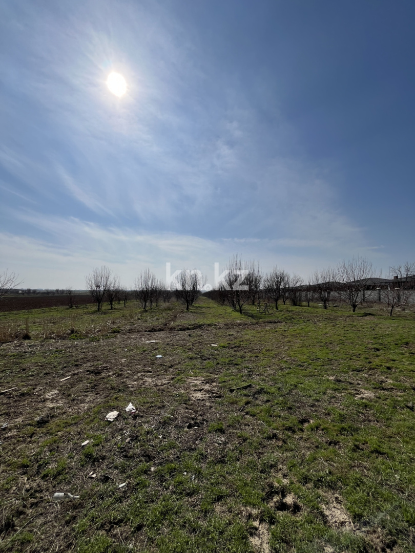 Продажа участка, 2 га в Шымкенте - фото 6