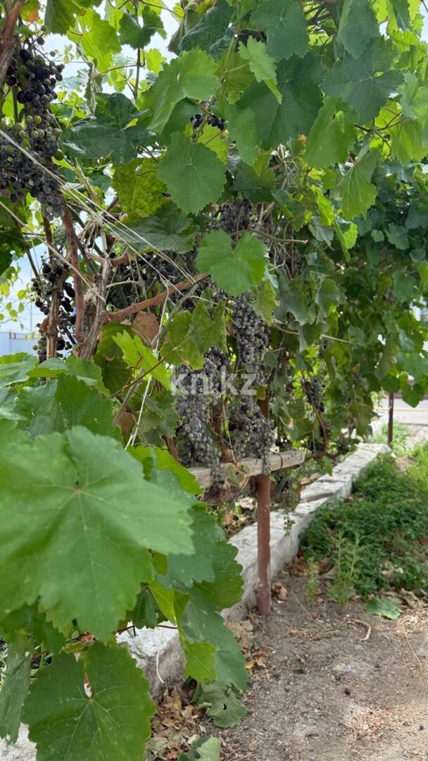 Продажа 4-комнатного дома, 150 м² в Атырау - фото 11