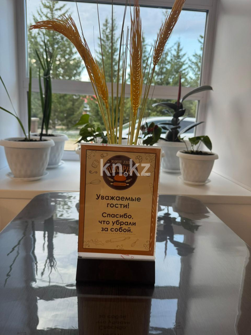 Продажа бизнеса, 111.1 м² в Акмолинской области - фото 8