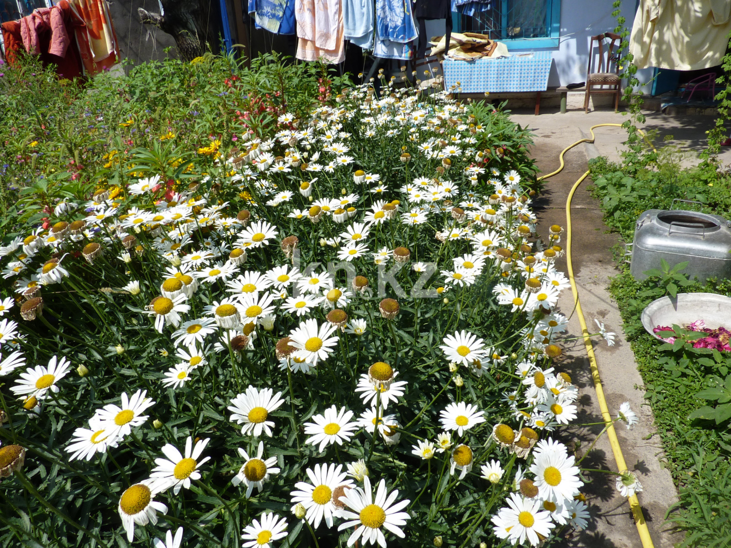 Продажа дачи, 8 сот. в Шымкенте - фото 12