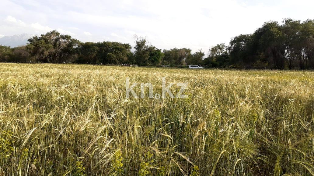 Продажа участка, 635 сот. в Алматинской области - фото 2