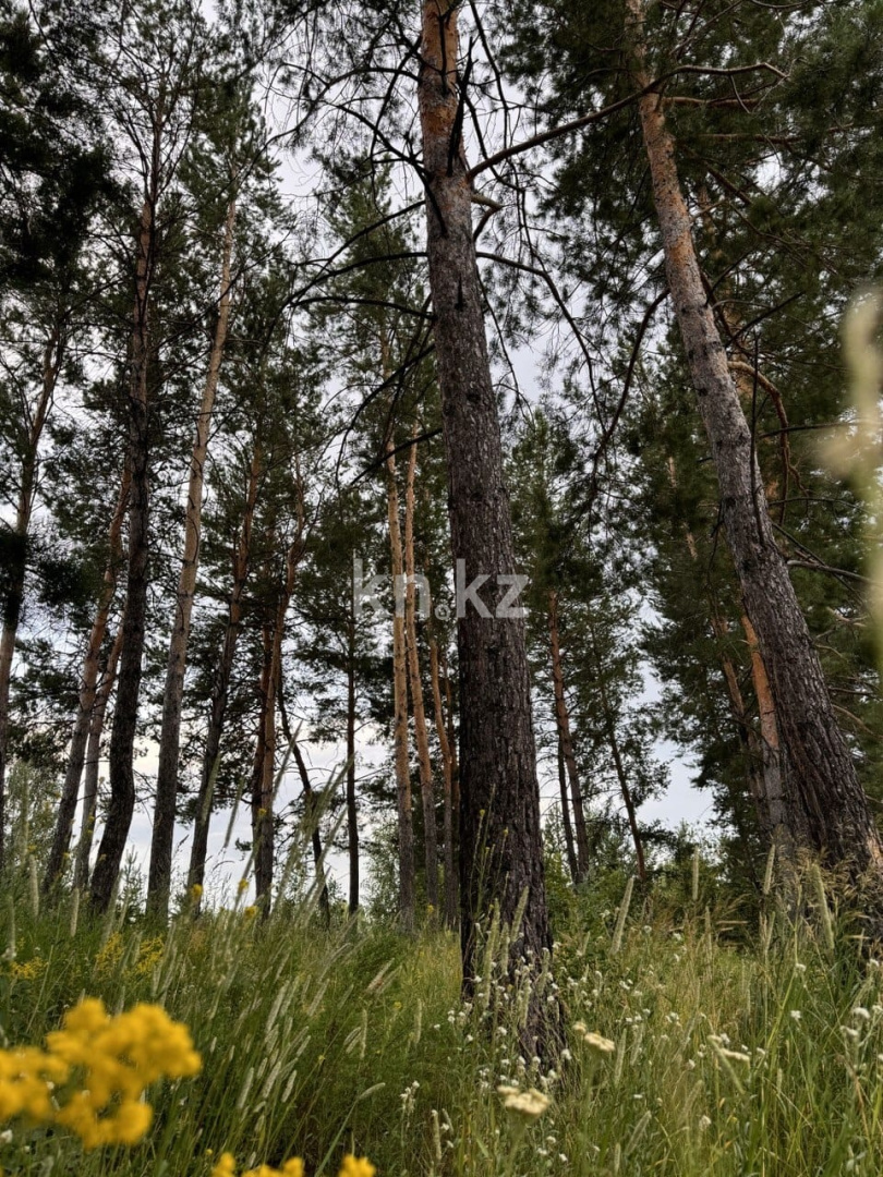 Продажа участка, 24.7 га в Усть-Каменогорске - фото 6