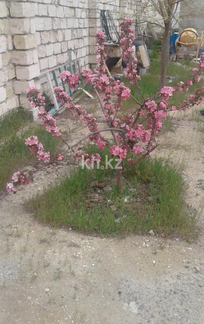 Продажа земельного участка, 1573 м², Умирзак в Актау - фото 8