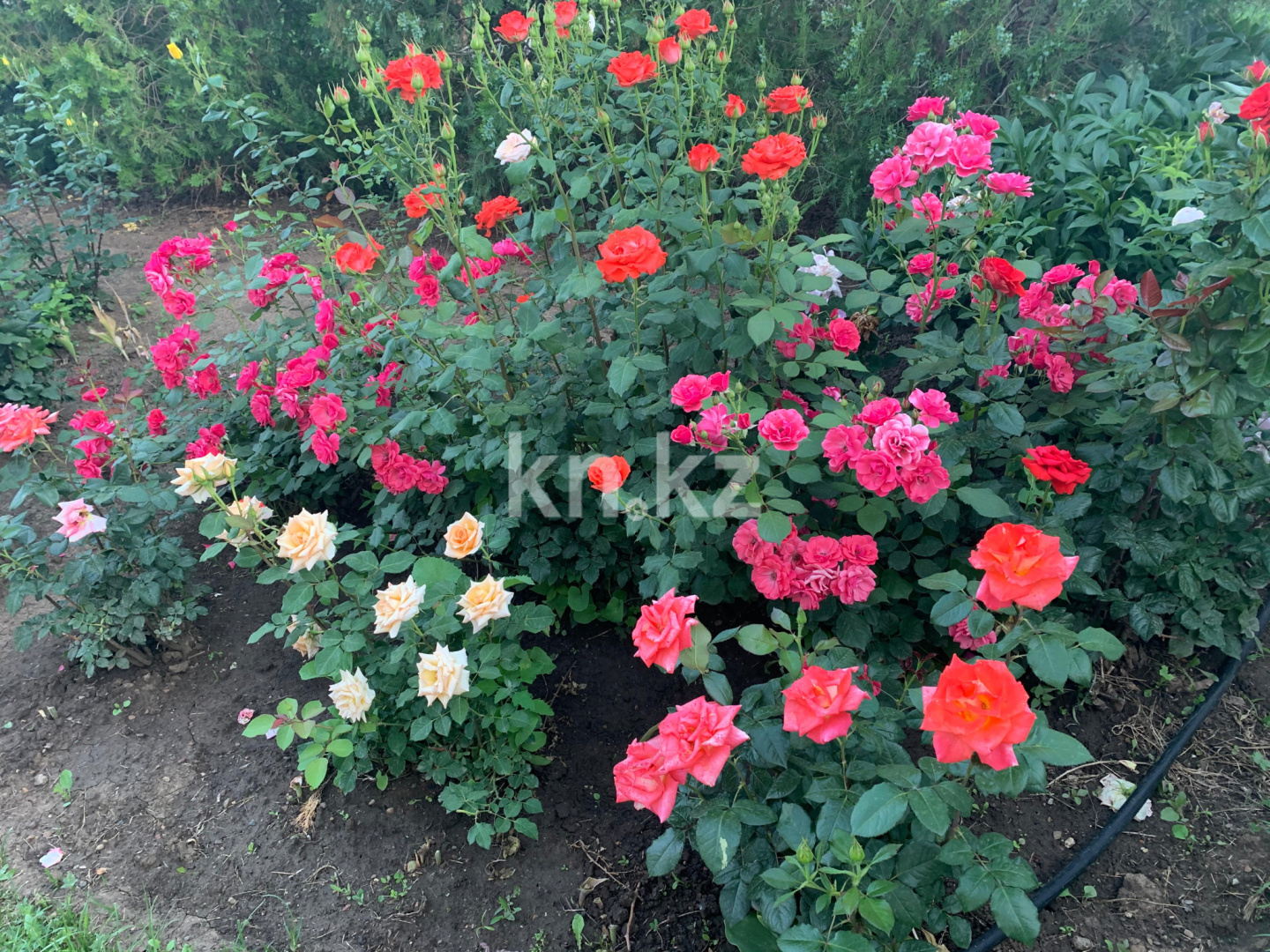 Продажа 4-комнатного дома, 141 м² в Уральске - фото 24