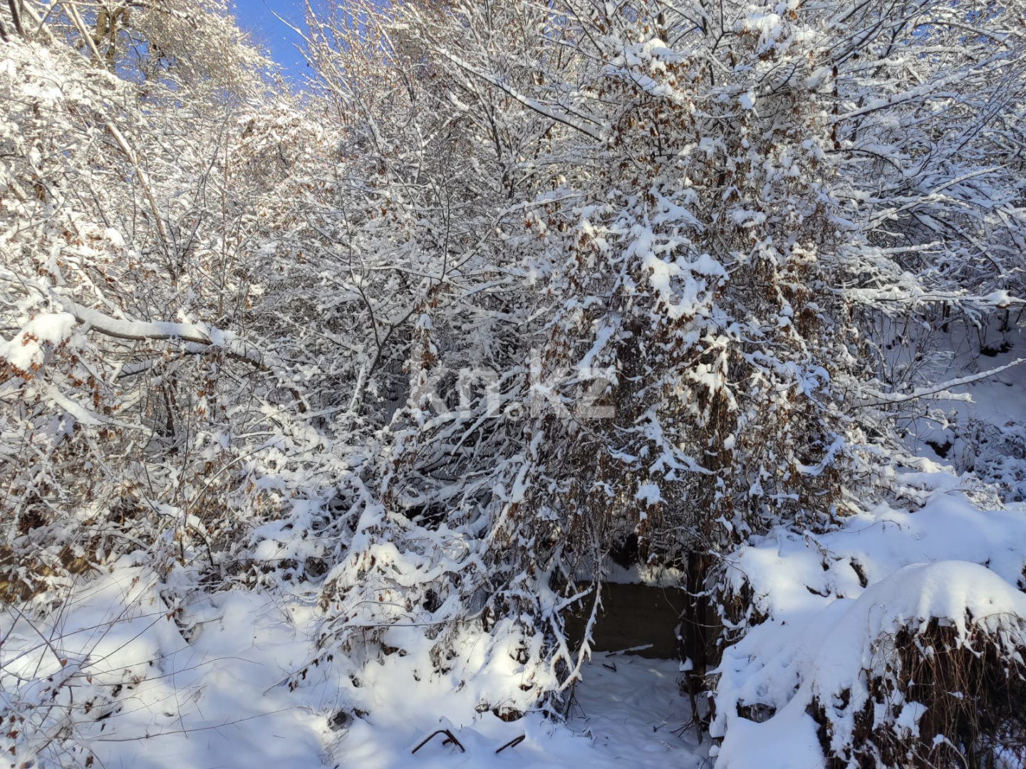 Продажа участка, 1600 м² в Алматы - фото 2