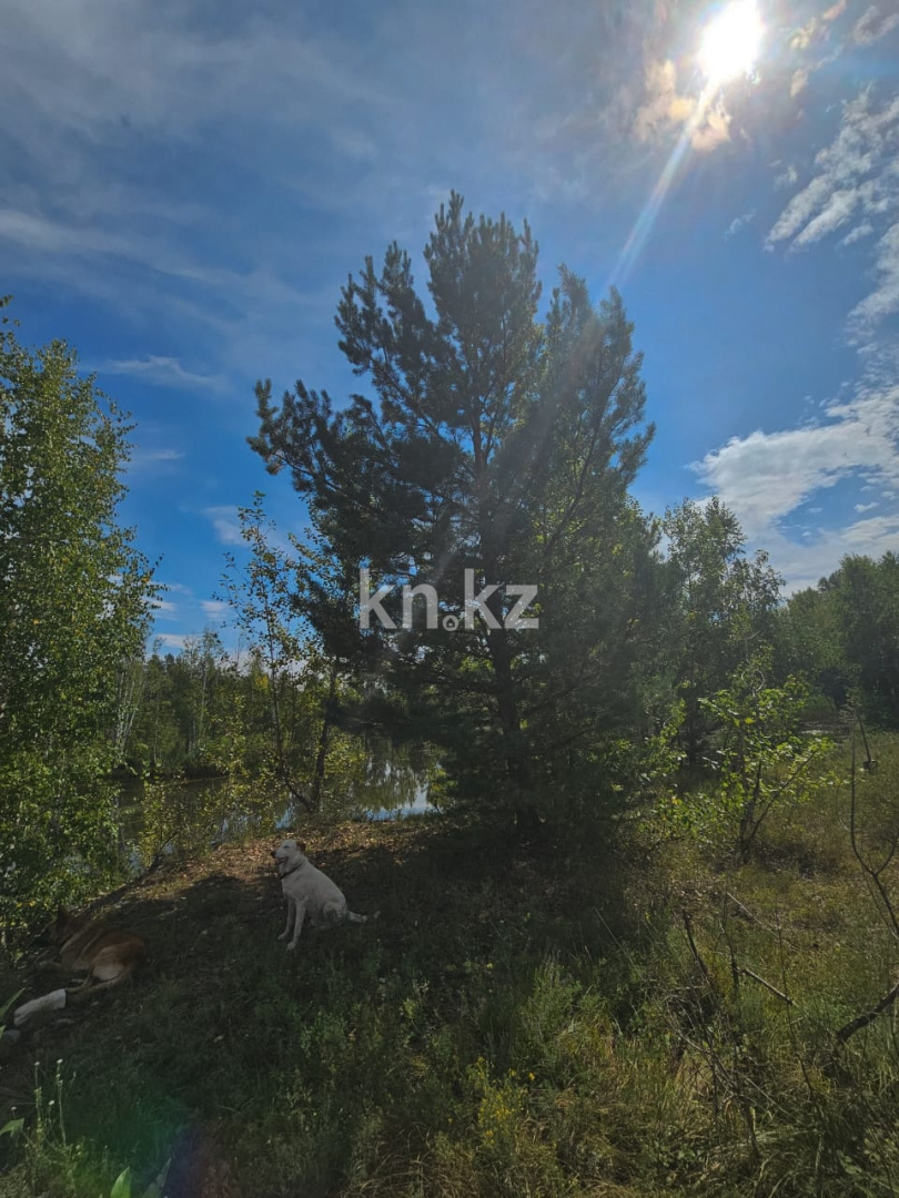 Продажа участка, 24.7 га в Усть-Каменогорске - фото 2