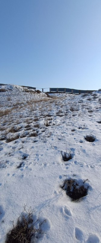 Продажа участка, 8 га в Алматинской области - фото 22