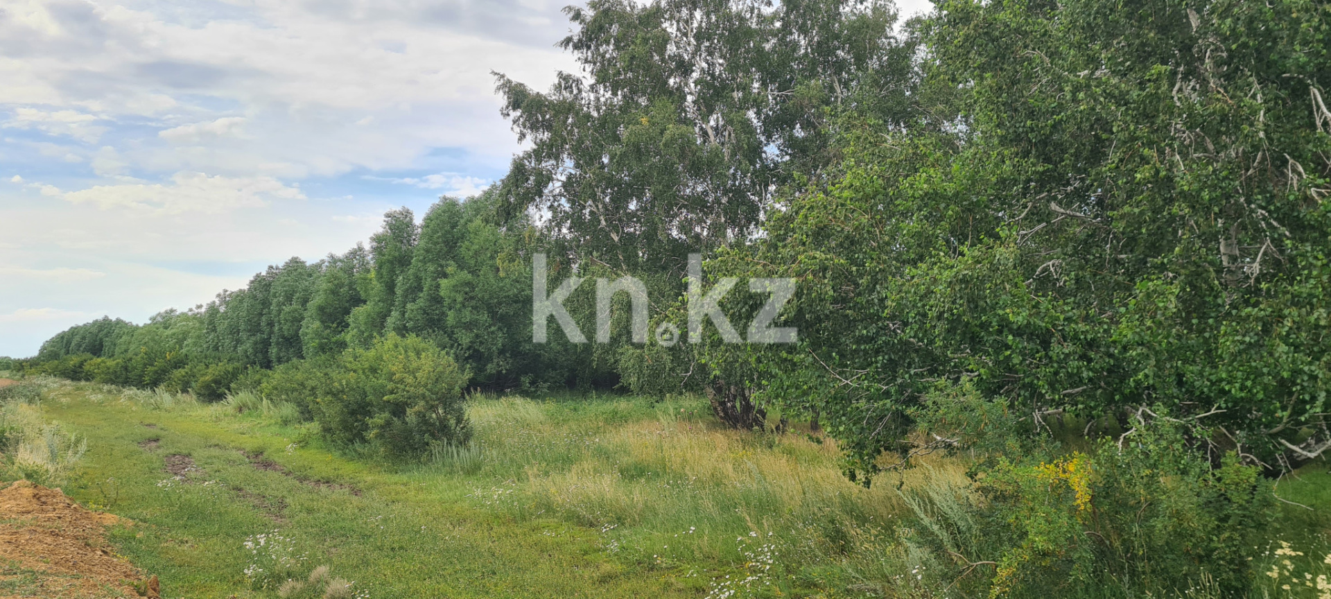 Продажа земельного участка, 25 сот., Мира в Акмолинской области - фото 6