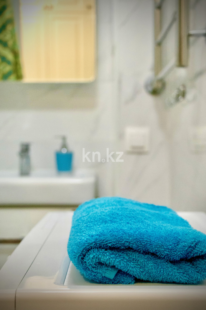 Аренда 2-комнатной квартиры посуточно, 48 м², ул. Егизбаева, дом  7/10 к1 в Алматы - фото 16