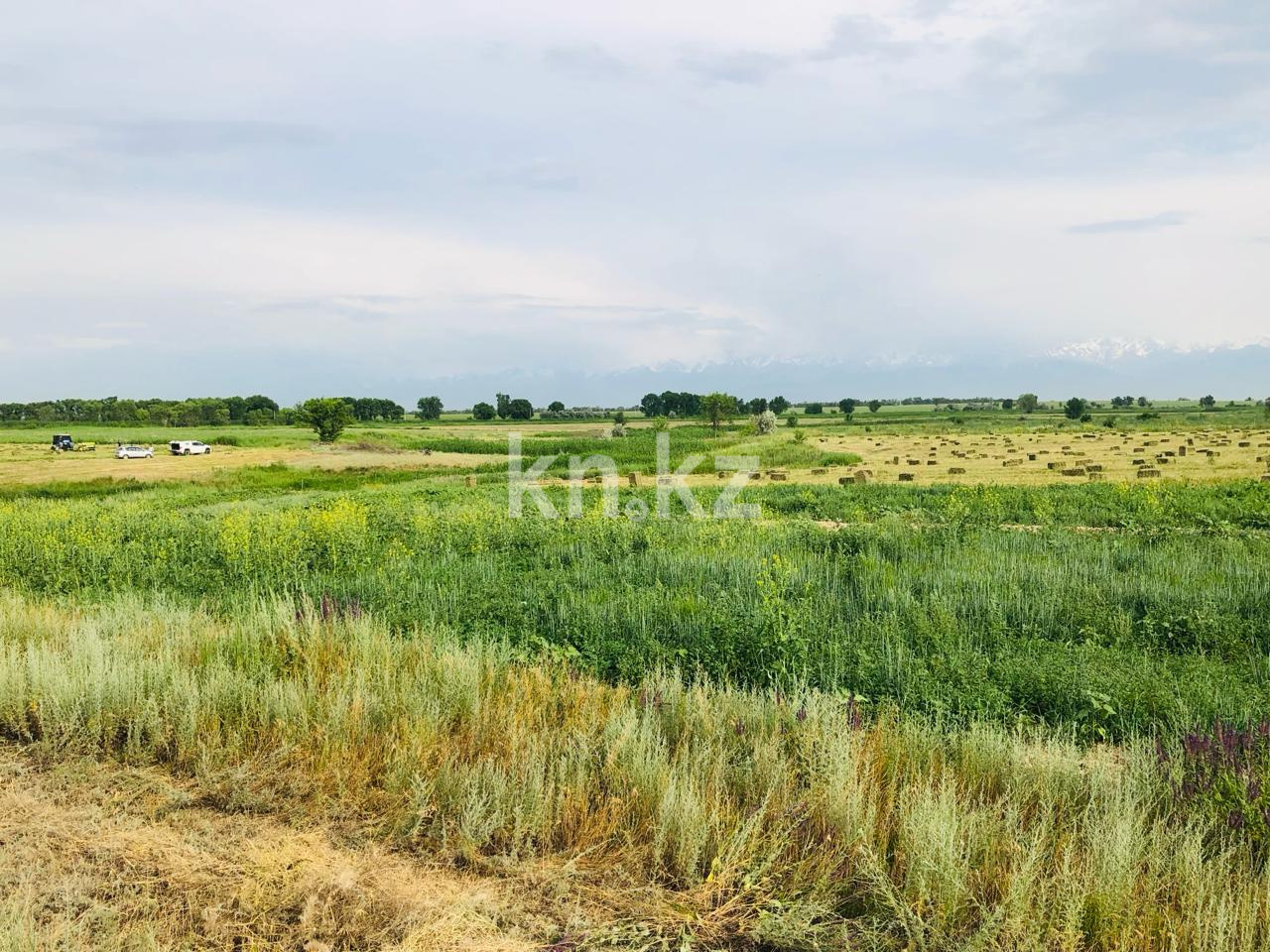 Продажа земельного участка, 3.5 га, Караой п. в Алматинской области