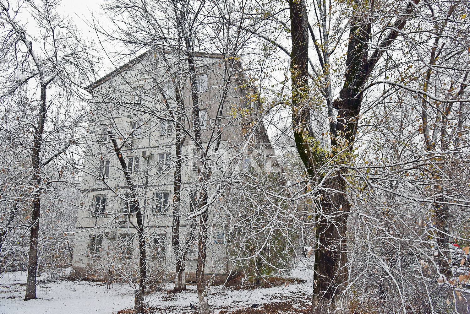 Продажа 2-комнатной квартиры, 43.2 м² в Алматы - фото 17