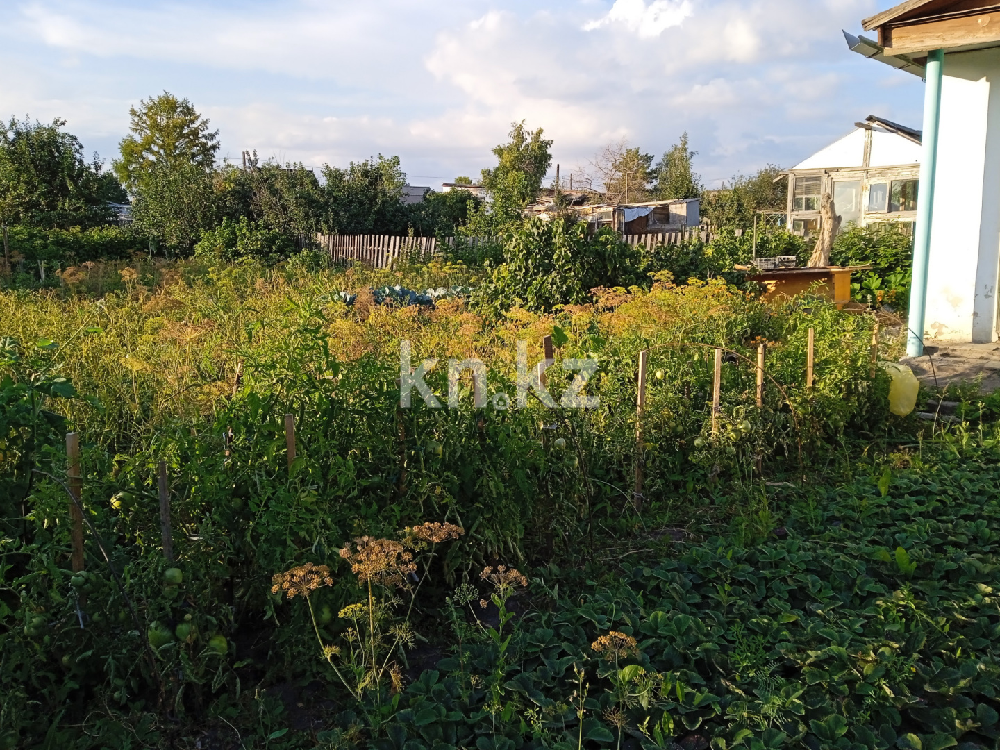 Продажа дачи, 6 сот. в Караганде - фото 2