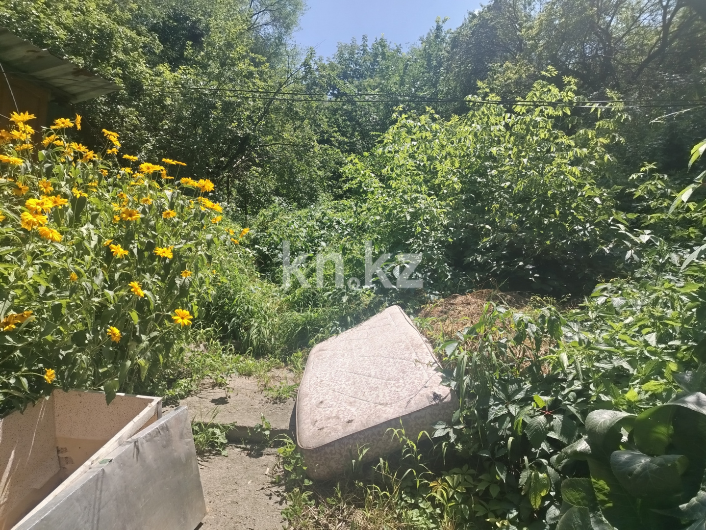 Продажа участка, 64 м² в Алматы - фото 3