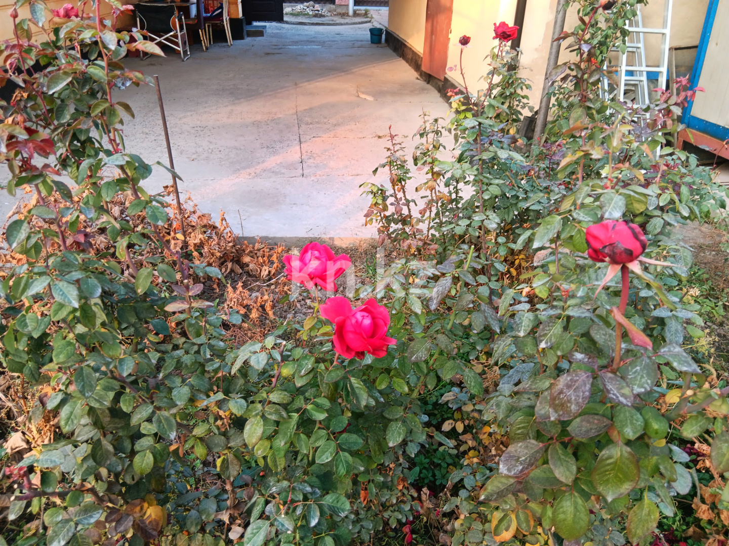 Продажа 4-комнатного дома, 90 м², ул. Урицкого в Алматы - фото 26