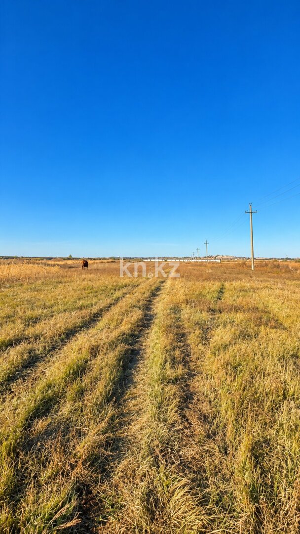 Продажа участка, 2 га в Акмолинской области - фото 4