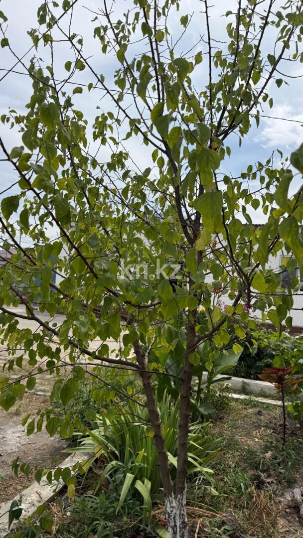 Продажа 4-комнатного дома, 150 м² в Атырау - фото 7