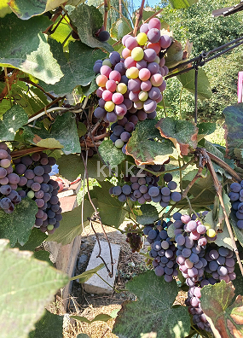 Продажа 4-комнатного дома, 90 м², ул. Урицкого в Алматы - фото 29