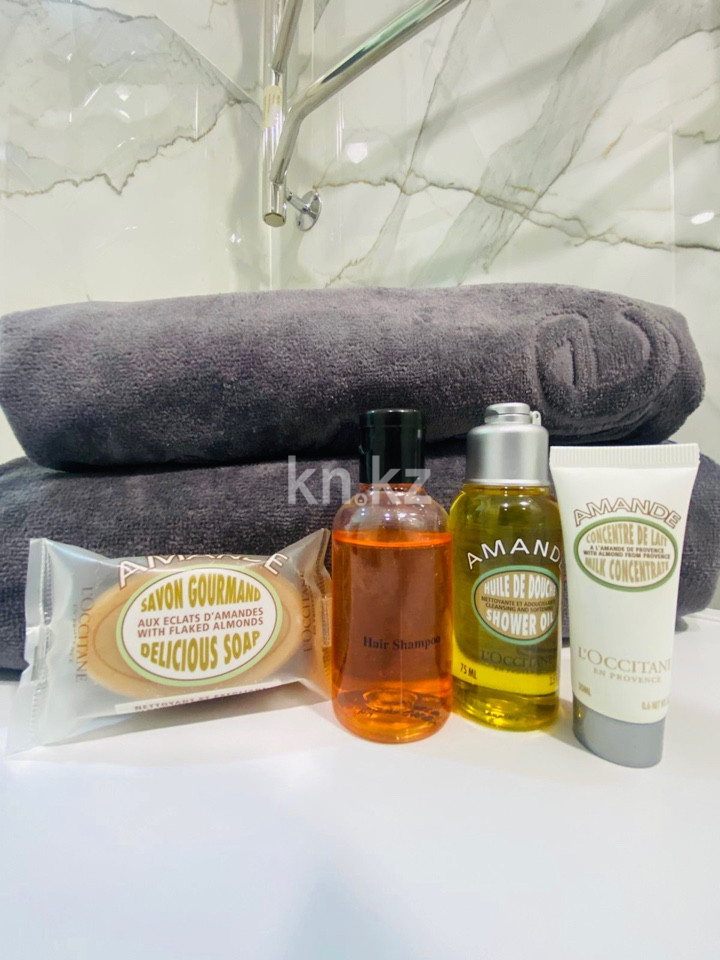 Аренда 1-комнатной квартиры посуточно, 36 м², ул. Айтиева, дом  154/1 - ул. Жамбыла в Алматы - фото 15