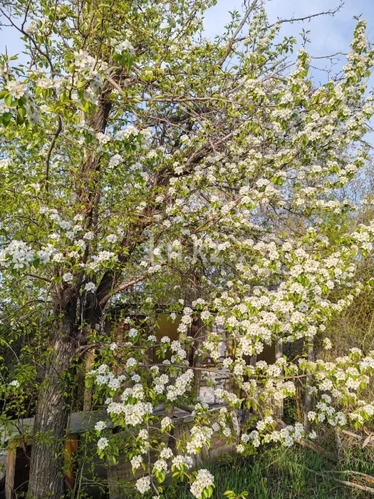 Продажа дачи, 9 сот. в Караганде - фото 12