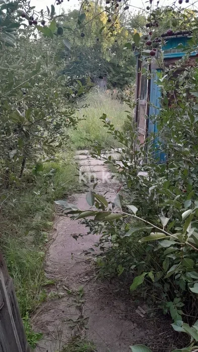 Продажа дачи, 9 сот. в Караганде - фото 4