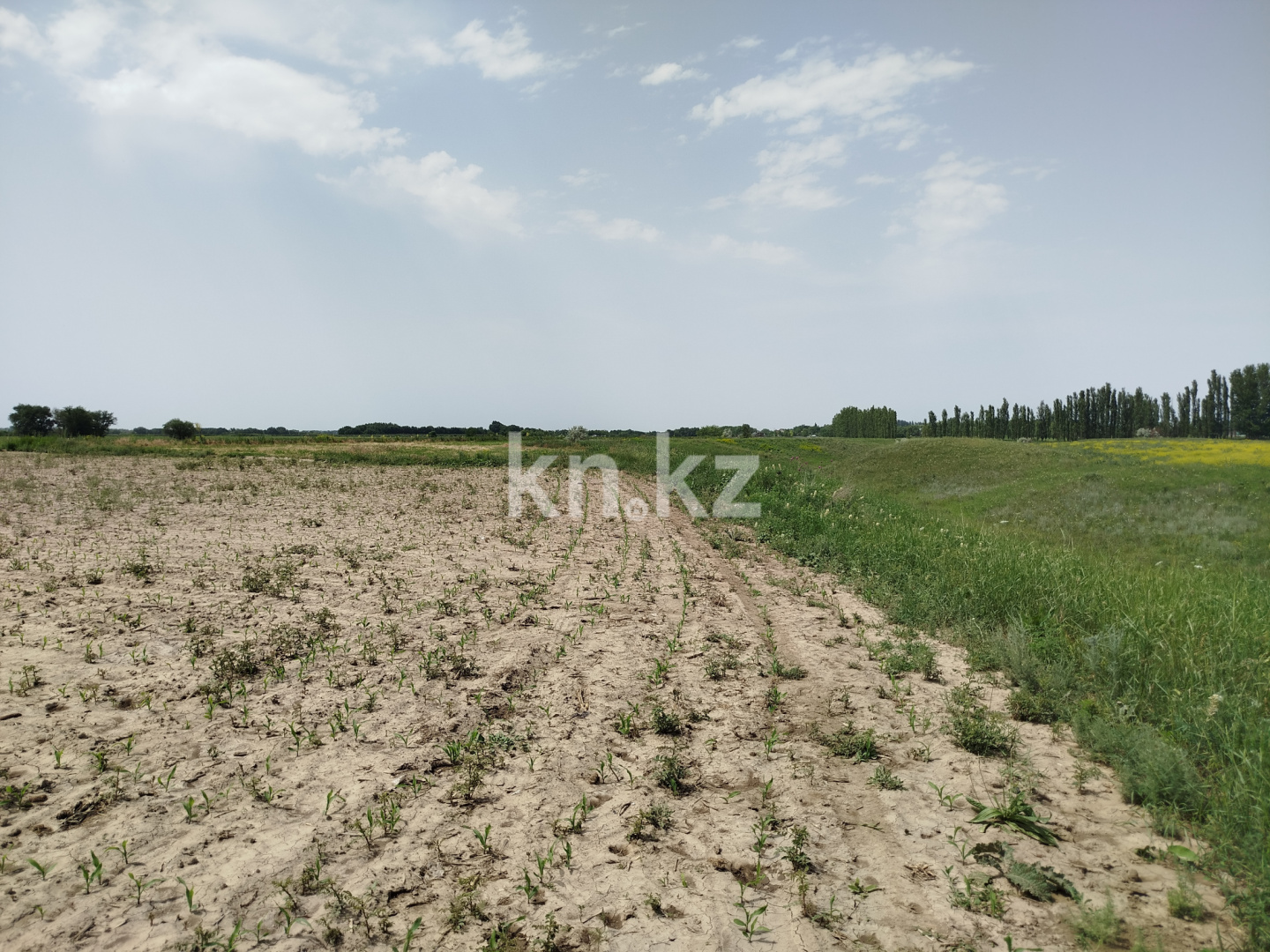 Продажа участка, 10 га в Алматинской области - фото 8