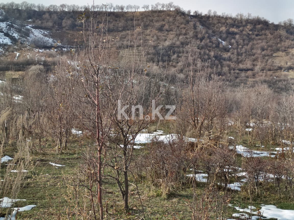 Продажа участка, 6000 м² в Алматы - фото 7