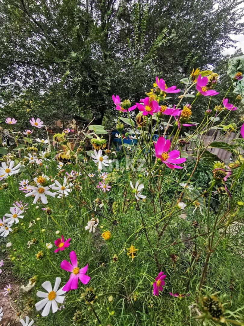 Продажа 4-комнатного дома, 60 м², Боралдай, ул.Сельский в Алматинской области - фото 9