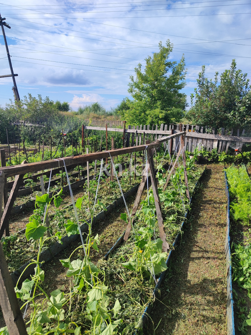 Продажа дачи, 8 сот. в Темиртау - фото 9