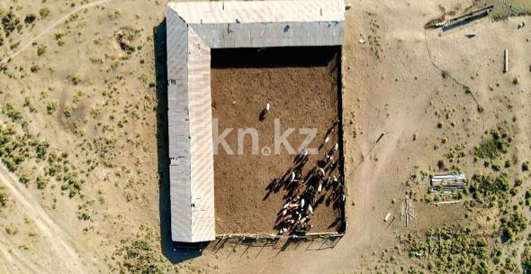 Продажа , 1200 м², ЖМ Алтынтобе, дом  1 в Шымкенте - фото 10