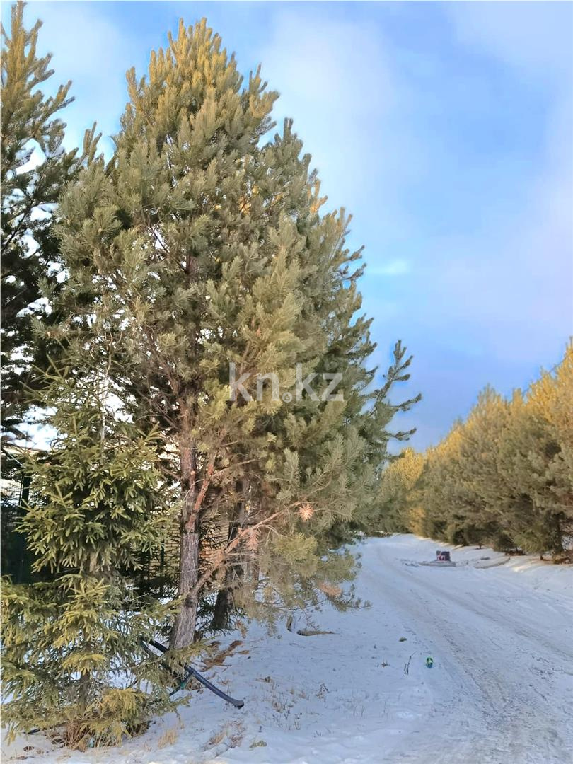 Продажа 1-комнатной квартиры, 35 м² в Караганде - фото 17