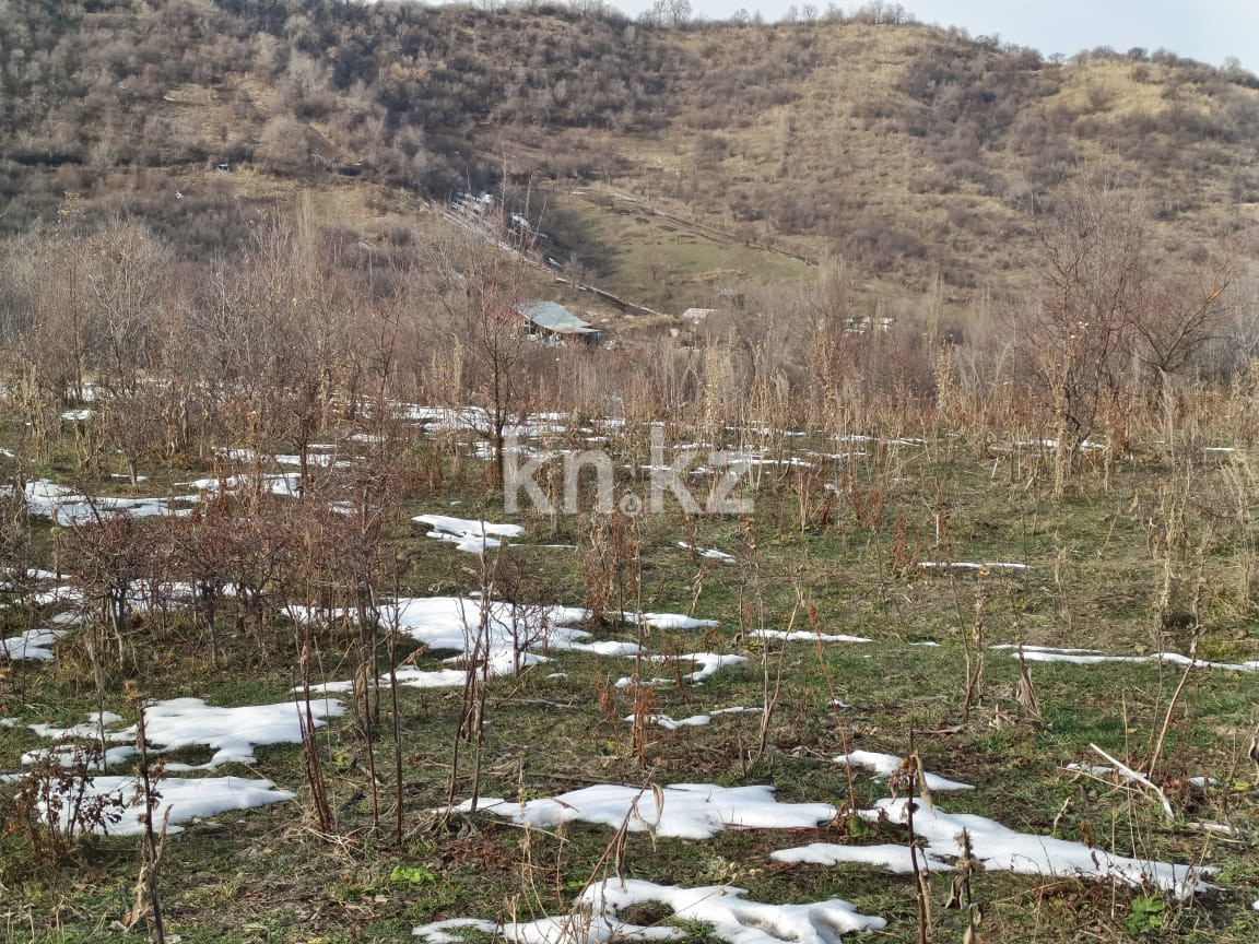 Продажа участка, 6000 м² в Алматы - фото 10