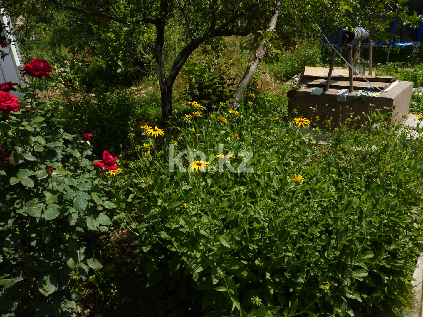 Продажа дачи, 8 сот. в Шымкенте - фото 7