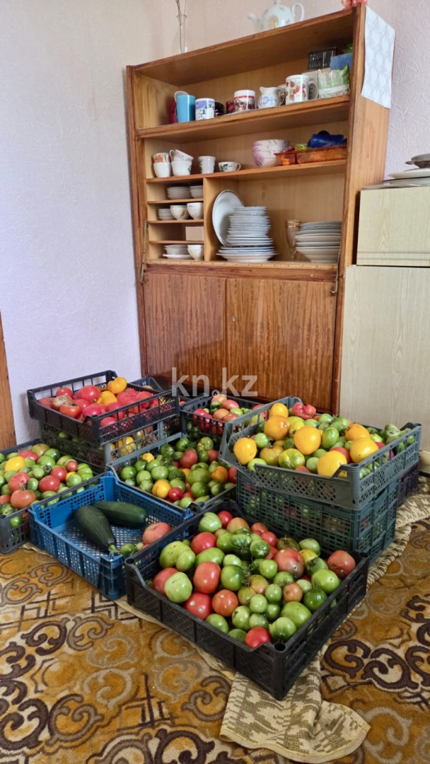 Продажа дачи, 12 сот., Елочка в Караганде - фото 36