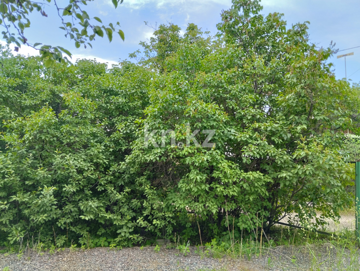 Продажа дачи, 11 сот., Юбилейный с. о. в Алматинской области - фото 23