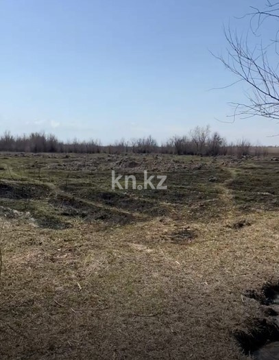 Продажа участка, 81 га в Алматинской области - фото 5