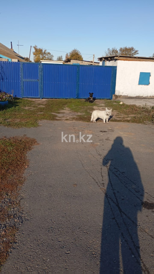 Продажа 4-комнатного дома, 89 м², ул. Желтоксан, дом  50 в Астане - фото 4