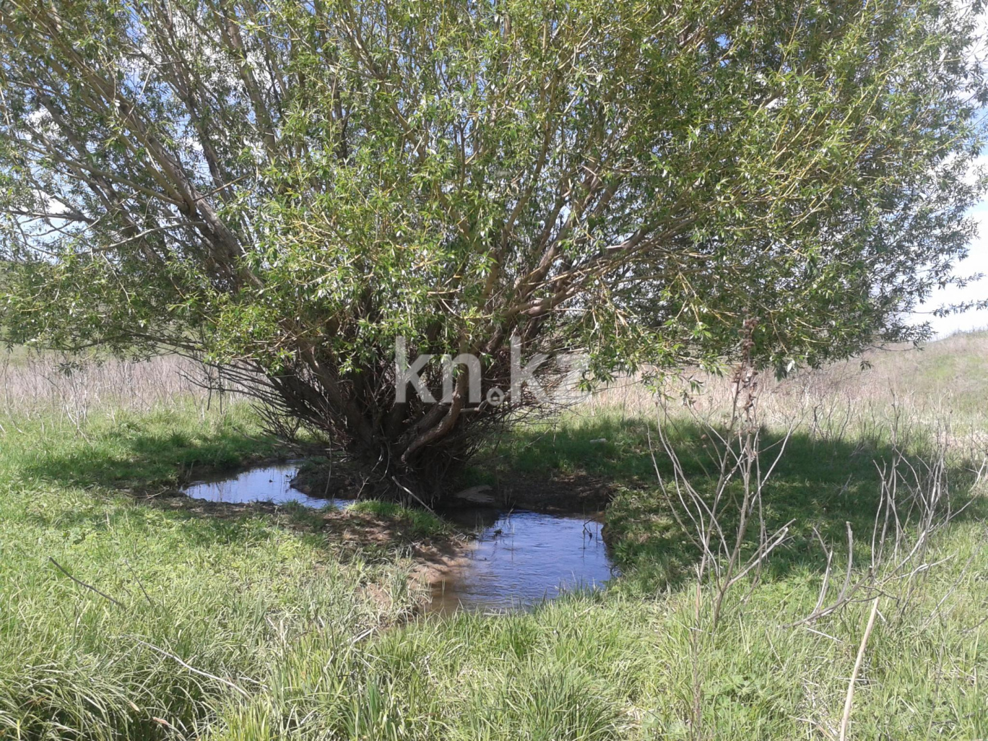 Продажа земельного участка, 10 га, Карой п. в Алматы - фото 3