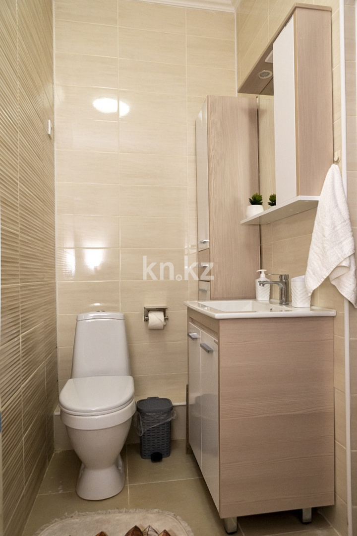 Аренда 1-комнатной квартиры посуточно, 33 м², ул. Карасай батыра, дом  326 в Алматы - фото 16