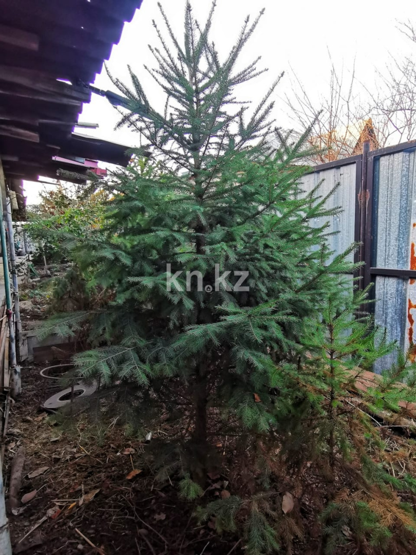 Продажа 5-комнатного дома, 178 м², Боралдай п. в Алматинской области - фото 5