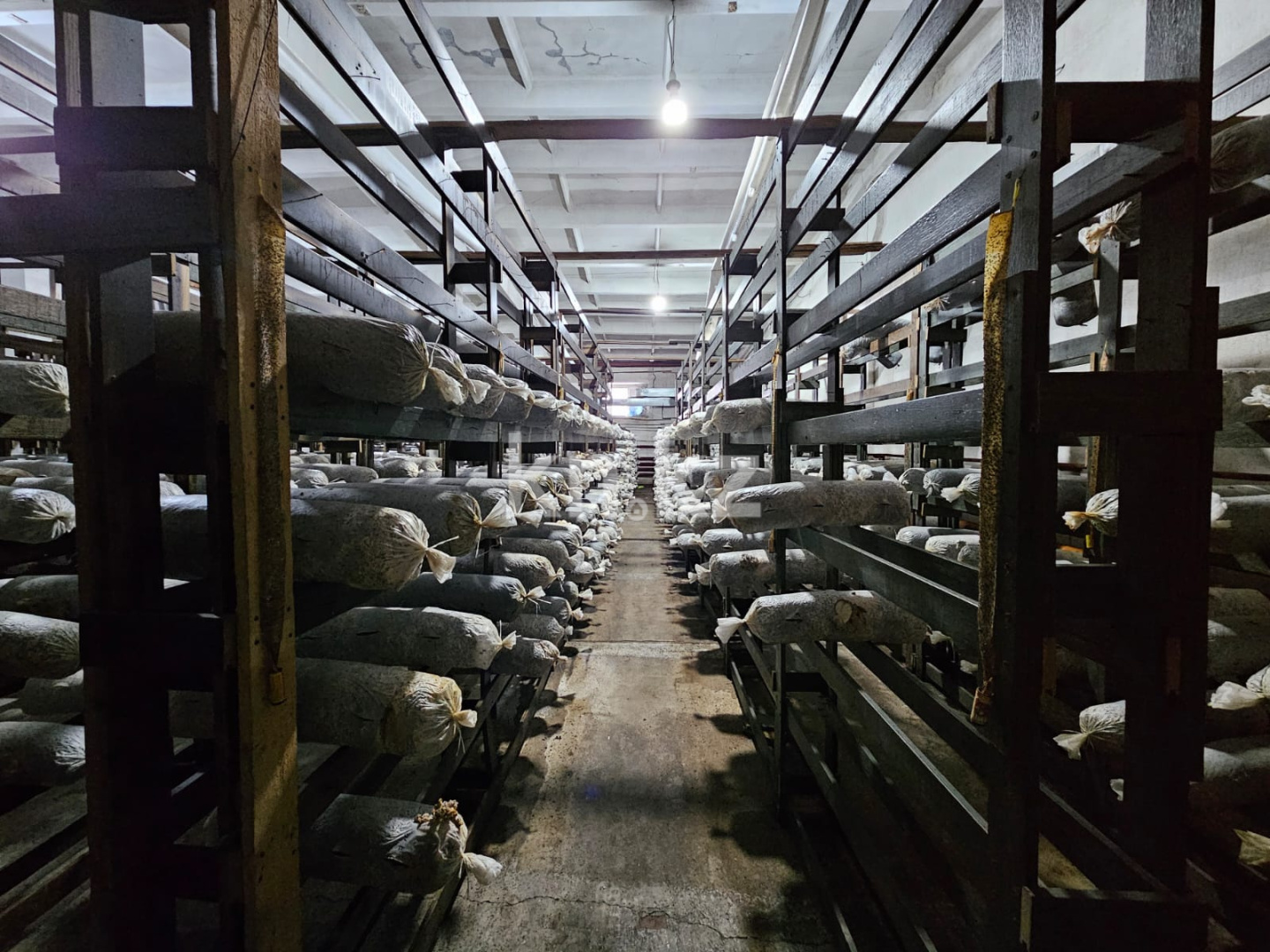 Продажа , 1500 м², ул. Абая, дом  225а в Темиртау - фото 12