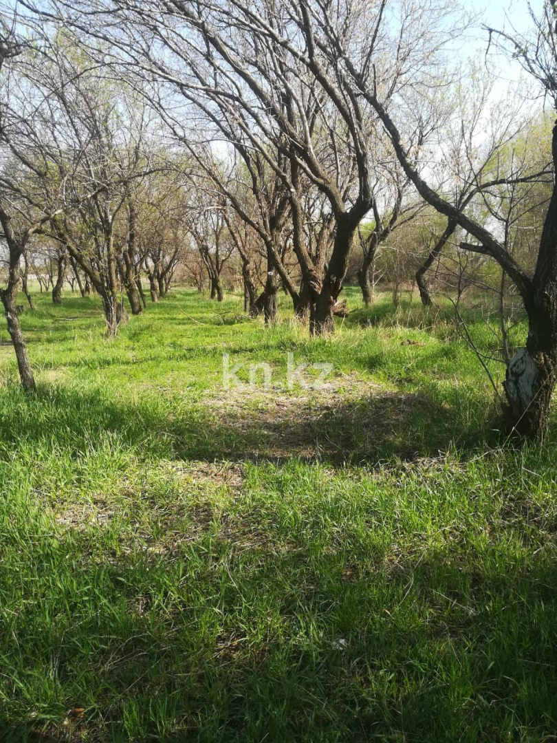 Продажа земельного участка, 50 сот., Азат п. в Алматинской области - фото 4