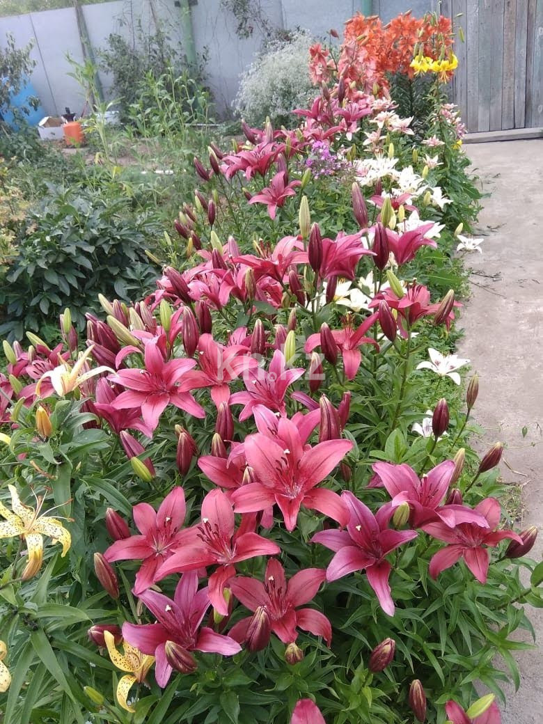 Продажа 3-комнатного дома, 80 м², Сейфуллина, дом  125 в Павлодаре - фото 11