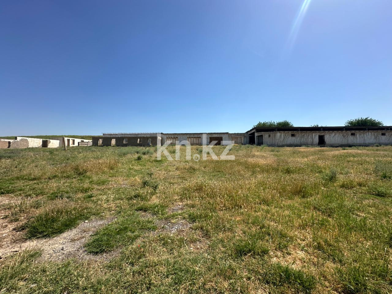 Продажа , 2922 м², Колкент, дом  1864 в Шымкенте - фото 7